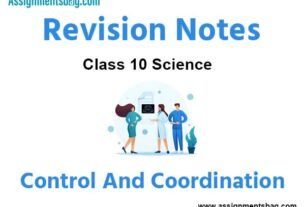 Control and Coordination Class 10 Science Revision Notes