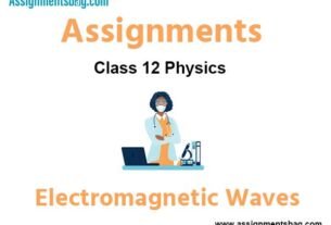 Assignments Chapter 8 Electromagnetic Waves Class 12 Physics