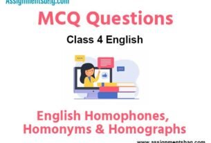 MCQ Questions Chapter 21 Homophones Homonyms & Homographs Class 4 English