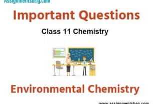 Assignments Class 11 Chemistry Environmental Chemistry