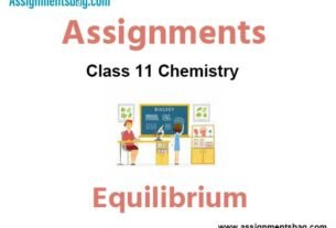 Assignments Class 11 Chemistry Equilibrium