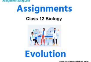 Assignments Class 12 Biology Evolution