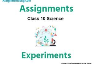 Assignment on Experiments in Class 10 Science