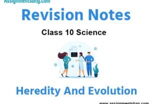 Heredity And Evolution Class 10 Science Revision Notes