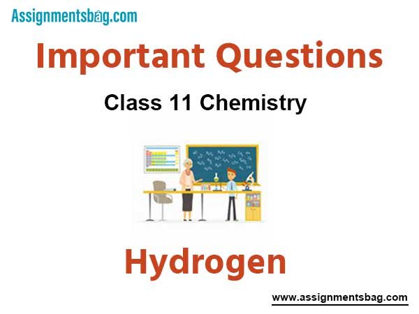 Assignments Class 11 Chemistry Hydrocarbons