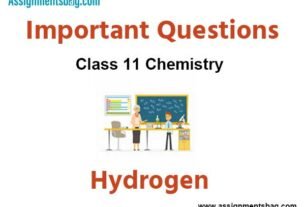 Assignments Class 11 Chemistry Hydrogen