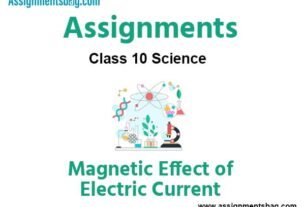 Class 10 Science Magnetic Effect of Electric Current