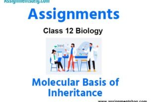 Assignments Class 12 Biology Molecular Basis of Inheritance