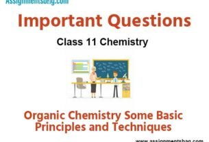 Assignments Class 11 Chemistry Organic Chemistry – Some Basic Principles and Techniques