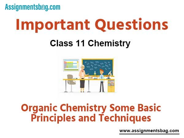 Assignments Class 11 Chemistry Organic Chemistry – Some Basic Principles and Techniques