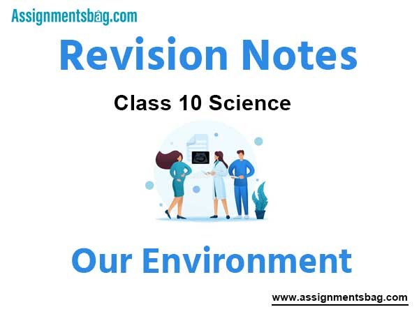 Our Environment Class 10 Science Revision Notes