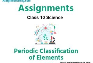 Class 10 Science Periodic Classification of Elements