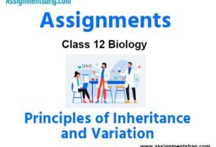 Assignments Class 12 Biology Principles of Inheritance and Variation