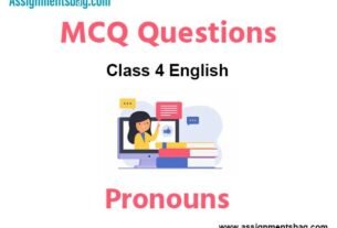 MCQ Questions Chapter 14 Pronouns Class 4 English