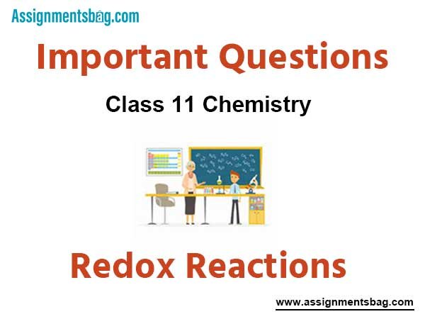Assignments Class 11 Chemistry Redox Reactions