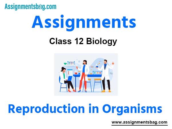 Assignments Class 12 Biology Reproduction in Organisms