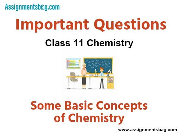 Assignments Class 11 Chemistry Some Basic Concepts of Chemistry