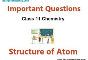 Assignments Class 11 Chemistry Structure of Atom