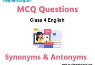 MCQ Questions Chapter 20 Synonyms & Antonyms Class 4 English