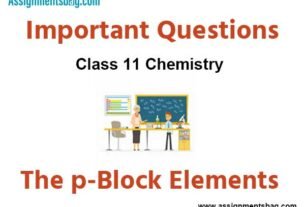 The p-Block Elements Class 11 Chemistry Important Questions