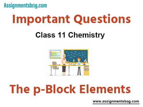 The p-Block Elements Class 11 Chemistry Important Questions