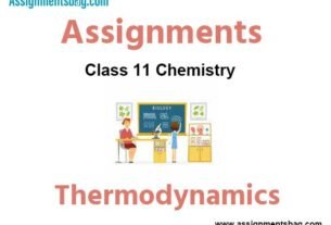 Assignments Class 11 Chemistry Thermodynamics