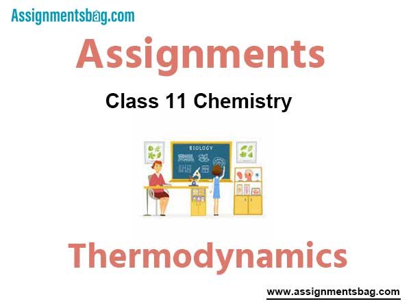 Assignments Class 11 Chemistry Thermodynamics