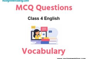 MCQ Questions Chapter 22 Vocabulary Class 4 English