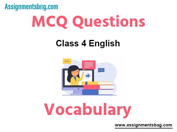 MCQ Questions Chapter 22 Vocabulary Class 4 English