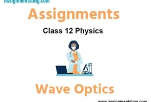 Assignments Chapter 10 Wave Optics Class 12 Physics