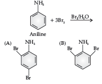 Amines Assignments Class 12 Chemistry