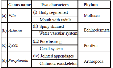Animal Kingdom Class 11 Biology Important Questions