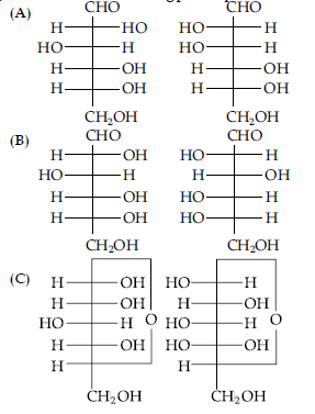 Biomolecules Assignments Class 12 Chemistry