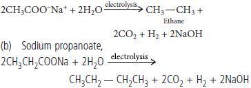 Hydrocarbons Class 11 Chemistry Important Questions