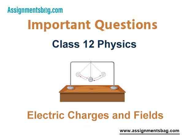 Electric Charges and Fields Class 12 Physics Important Questions