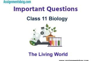 The Living World Class 11 Biology Important Questions