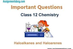 Haloalkanes and Haloarenes Class 12 Chemistry Important Questions