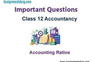 Accounting Ratios Class 12 Accountancy Important Questions