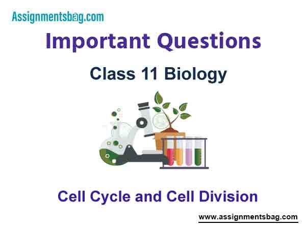 Cell Cycle and Cell Division Class 11 Biology Important Questions