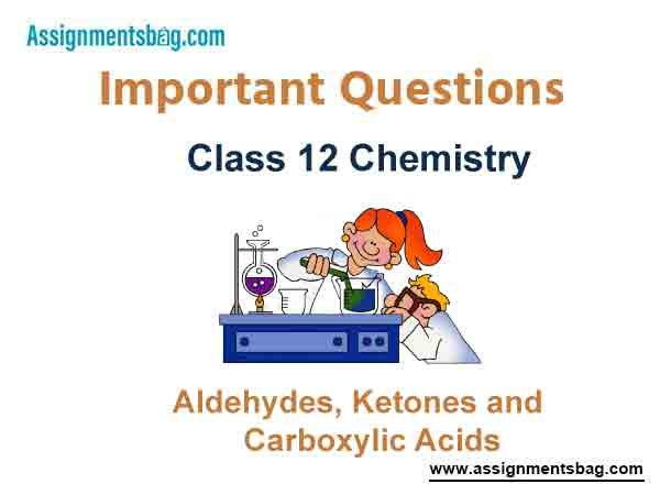 Aldehydes Ketones and Carboxylic Acids Class 12 Chemistry Important Questions