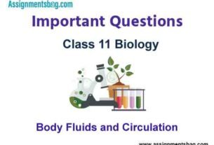 Body Fluids and Circulation Class 11 Biology Important Questions