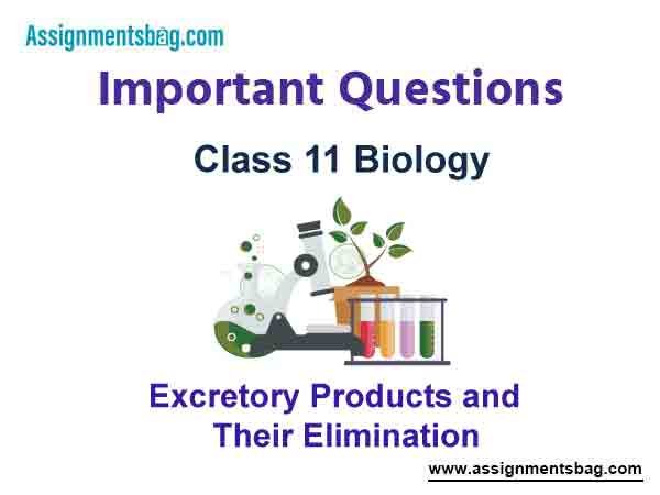 Excretory Products and Their Elimination Class 11 Biology Important Questions
