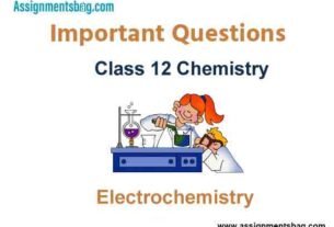 Electrochemistry Class 12 Chemistry Important Questions