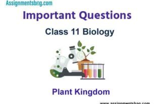 Plant Kingdom Class 11 Biology Important Questions