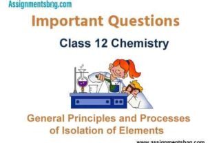 General Principles and Processes of Isolation of Elements Class 12 Chemistry Important Questions