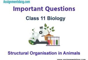 Structural Organisation in Animals Class 11 Biology Important Questions