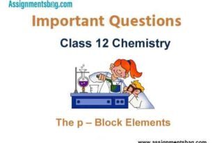 The p – Block Elements  Class 12 Chemistry Important Questions