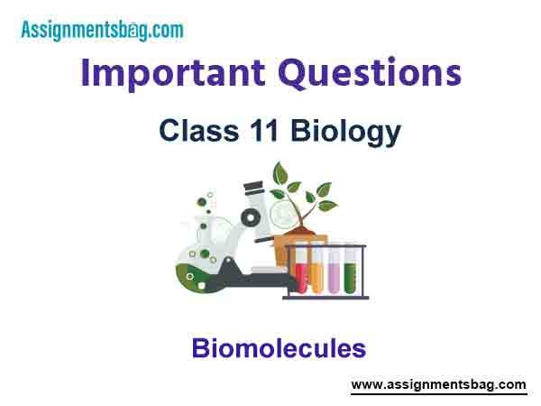 Biomolecules Class 11 Biology Important Questions