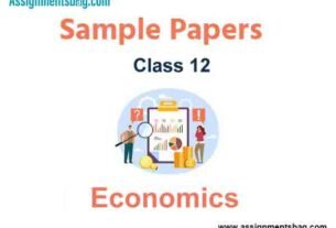 CBSE Class 12 Economics Term 2 Sample Paper Set C