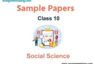 CBSE Class 10 Social Science Term 2 Sample Paper Set E